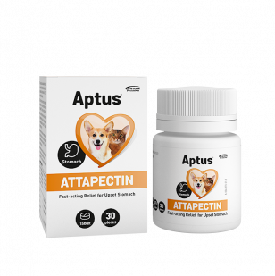 APTUS® ATTAPECTIN Tabletki na niestrawność. 30 szt. (21g)